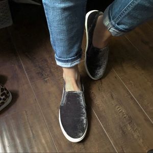 Steve Madden Crushed Velvet Slip ons